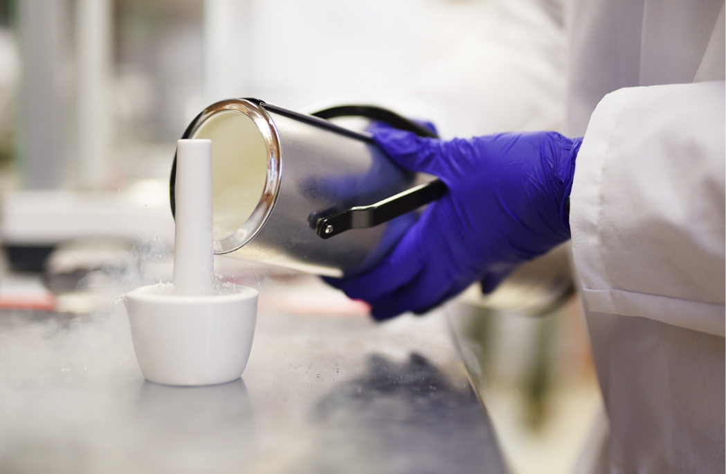 Environmental Toxicology